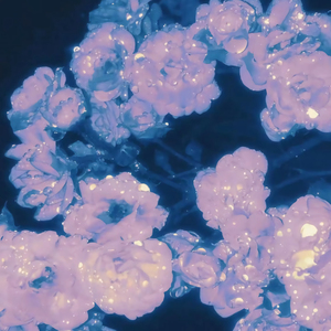 李玲玉一级婬片A片
