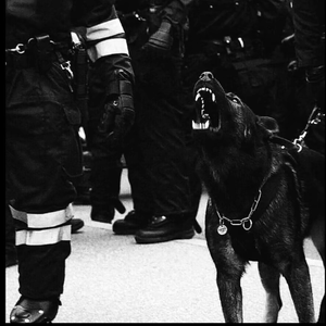 李玲玉一级婬片A片
